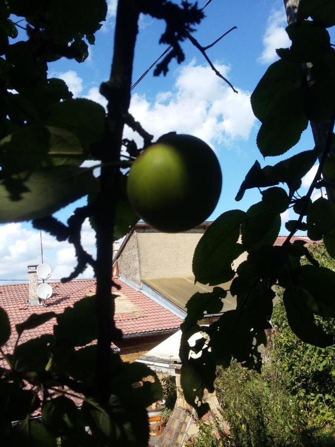 Terroir De Familles Acomodação com café da manhã Ecurey-en-Verdunois Exterior foto